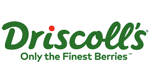 6862d2d3-bb07-449e-a373-0a05caab0fca 6862d2d3-bb07-449e-a373-0a05caab0fca