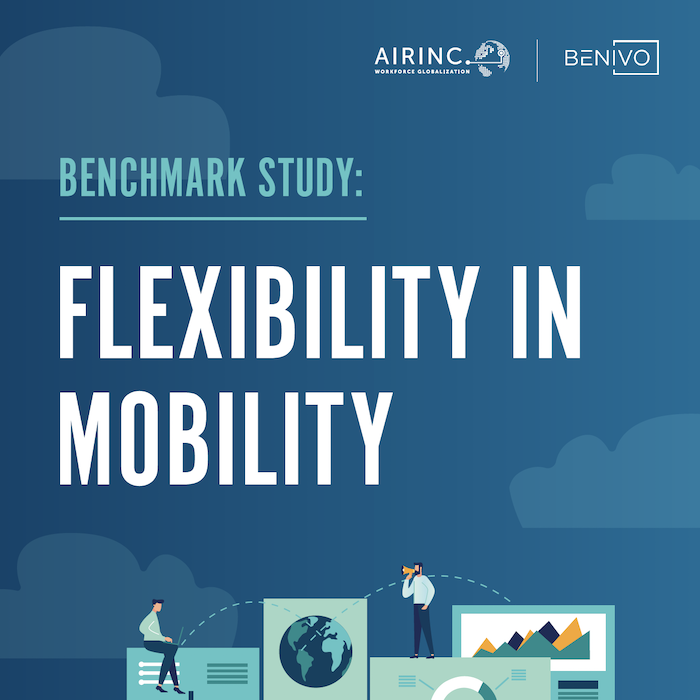 Flexibility in Mobility